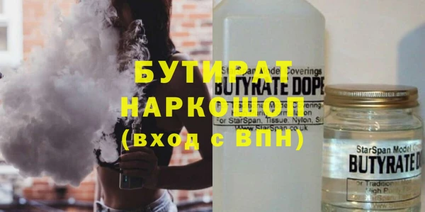 гидра Няндома